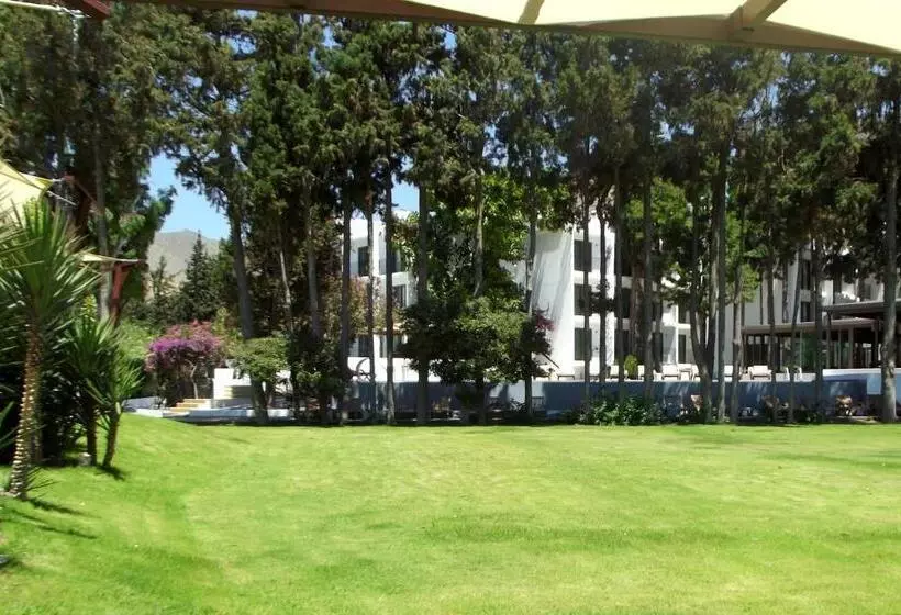 Liv Hotel By Bellazure