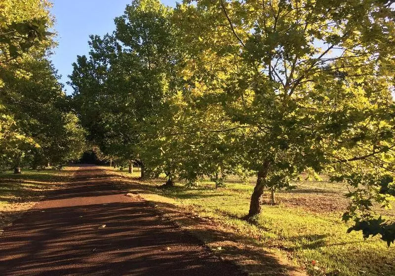 استراحتگاه Losari Retreat