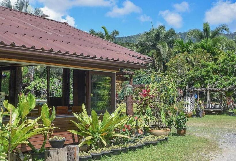 Курорт Nicslongstay