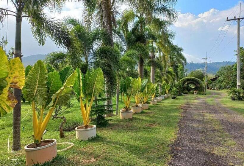 Курорт Nicslongstay