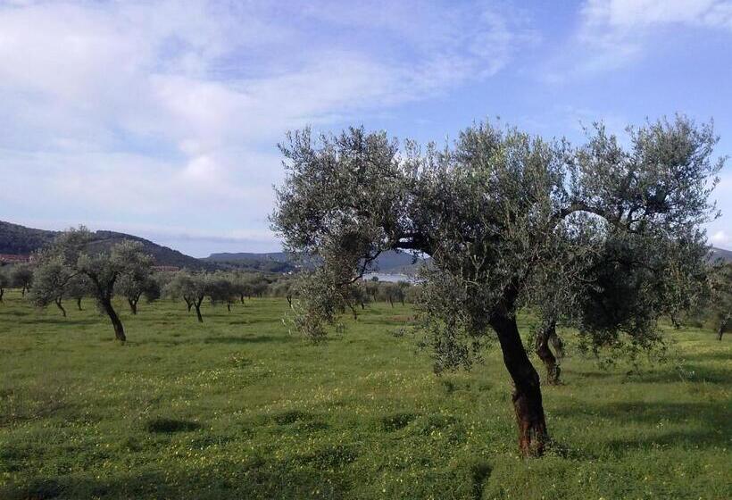 B&b La Casa Bianca Di Porto Conte