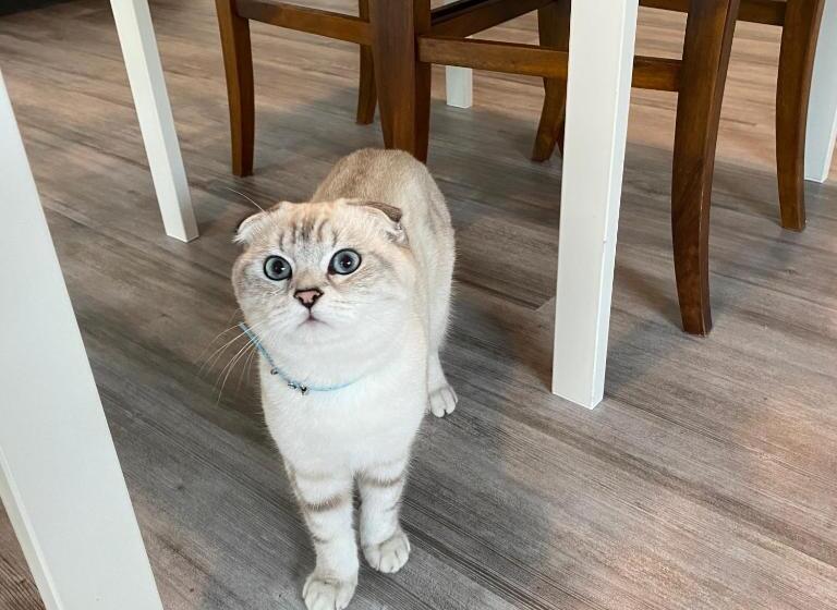 B&b La Dolce Casa Lago Di Como