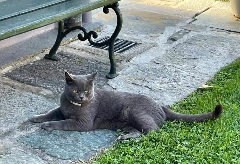 B&b La Dolce Casa Lago Di Como