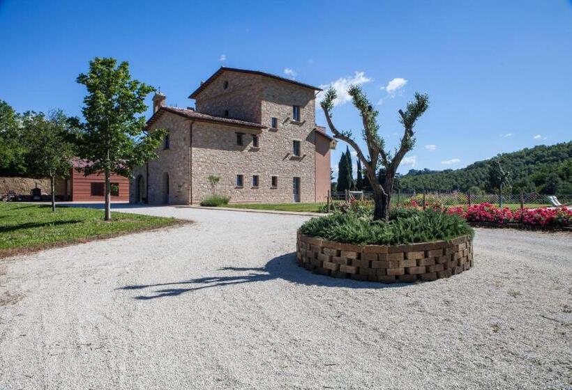 ベッドアンドブレックファースト Agriturismo Colle Casini Cortesi