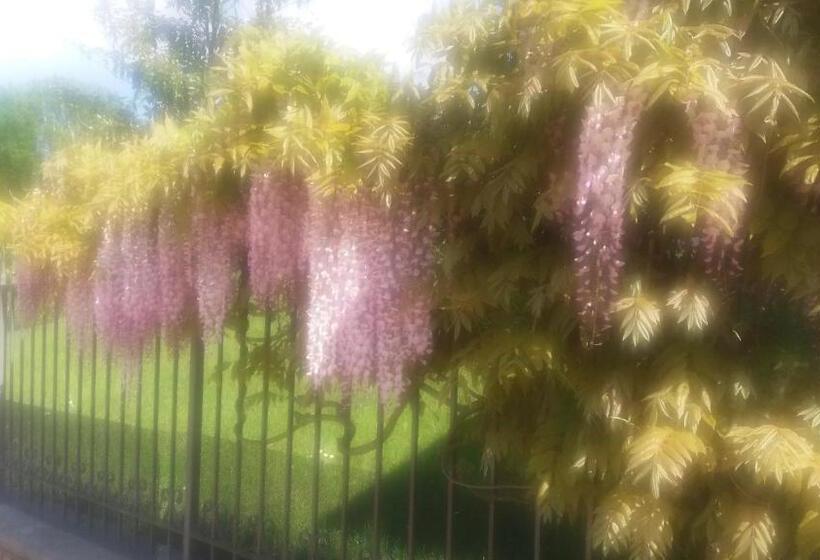 민박 Villa Campo Dei Fiori