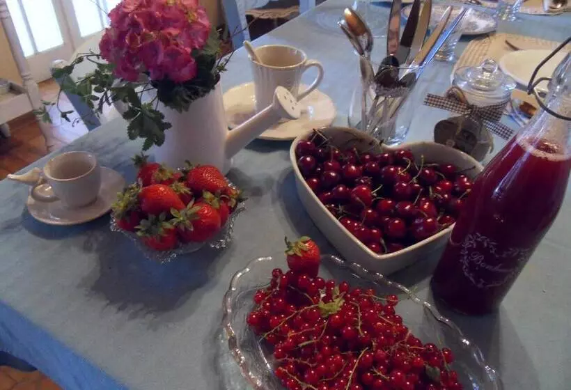 Aamiaismajoitus (B&B) Cuore Verde