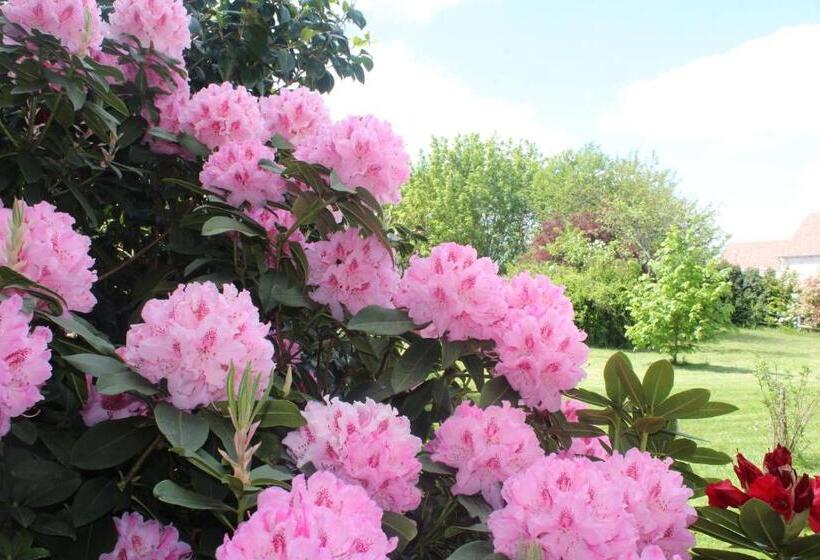 민박 Le Clos Des Roses