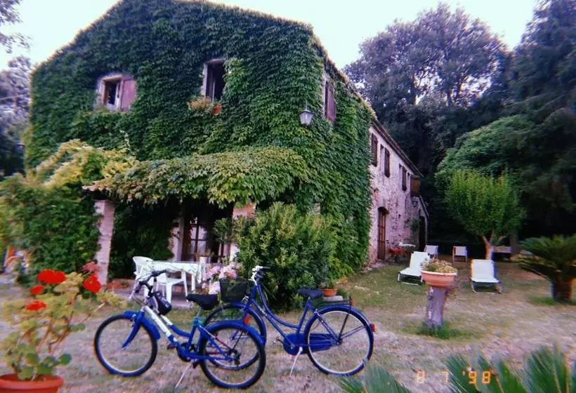 ベッドアンドブレックファースト Vista Sul Mare