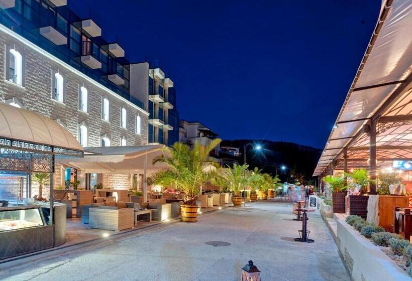 בית מלון כפרי Antik