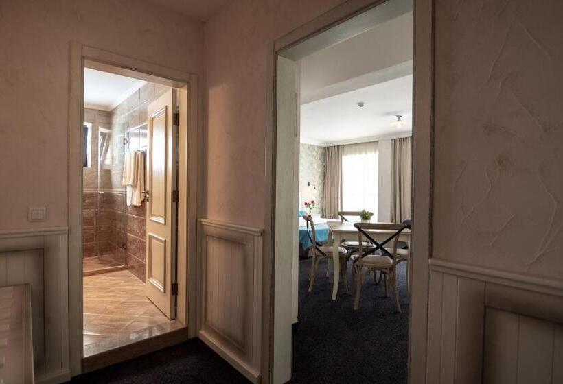 בית מלון כפרי Antik