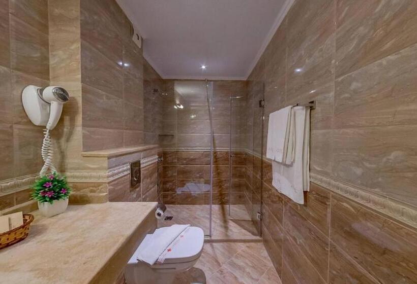 בית מלון כפרי Antik