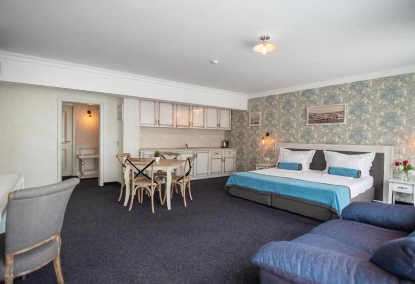 בית מלון כפרי Antik