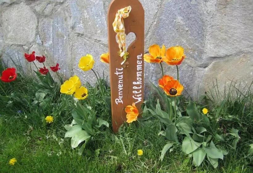 ホテル Pension Schönblick