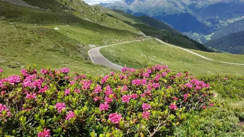 ホテル Pension Schönblick