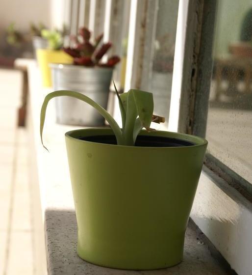 בית מלון כפרי Rasula Alta