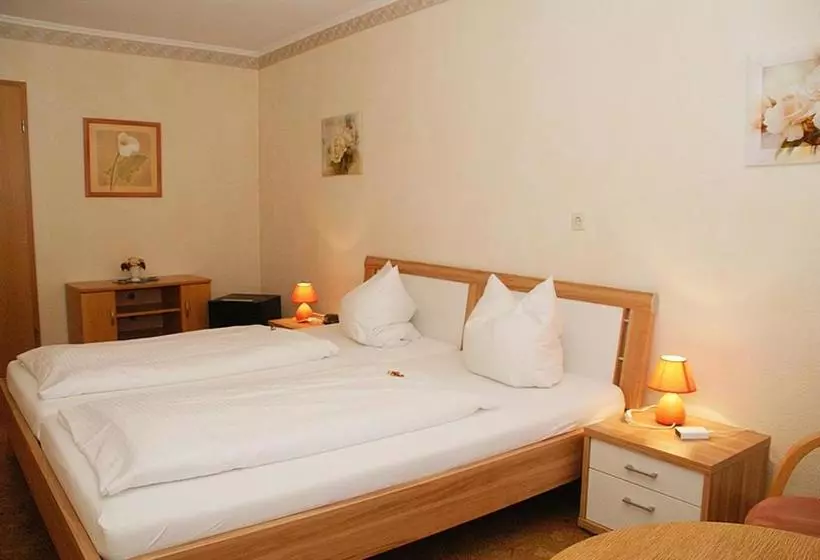 هتل Zur Loreley   Garni
