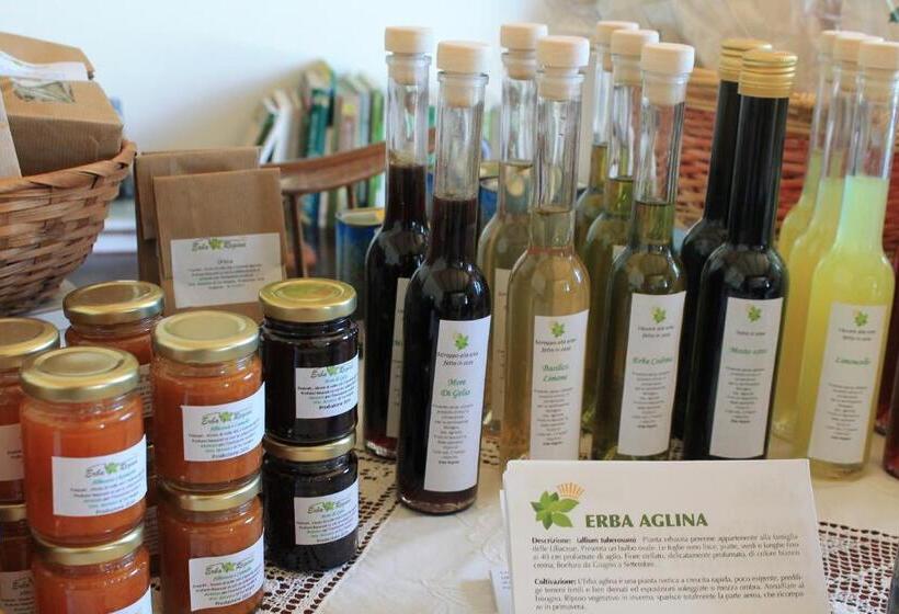 استراحتگاه Country House Erba Regina