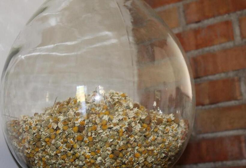 استراحتگاه Country House Erba Regina