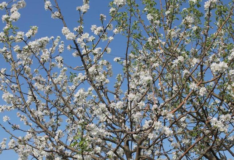 استراحتگاه Country House Erba Regina