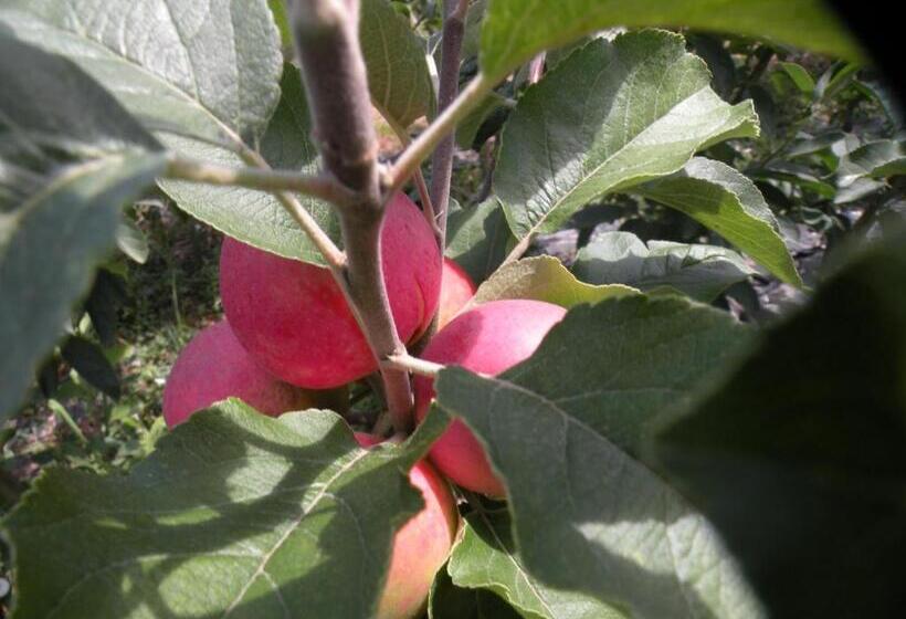 استراحتگاه Country House Erba Regina