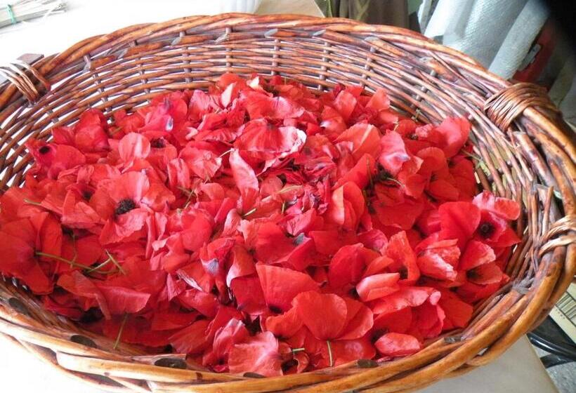 استراحتگاه Country House Erba Regina