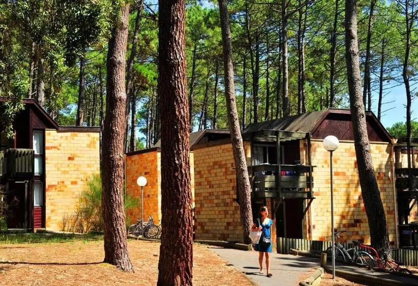 Lomakeskus Vtf Les Bruyères