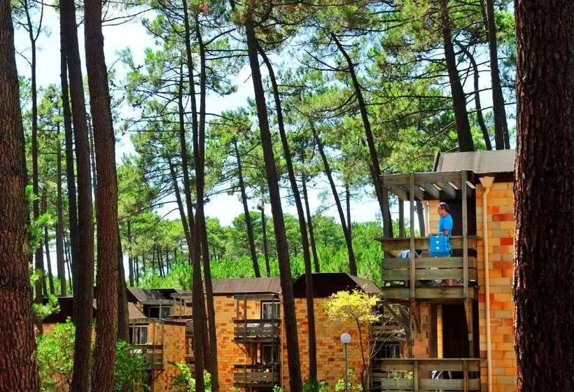 Lomakeskus Vtf Les Bruyères