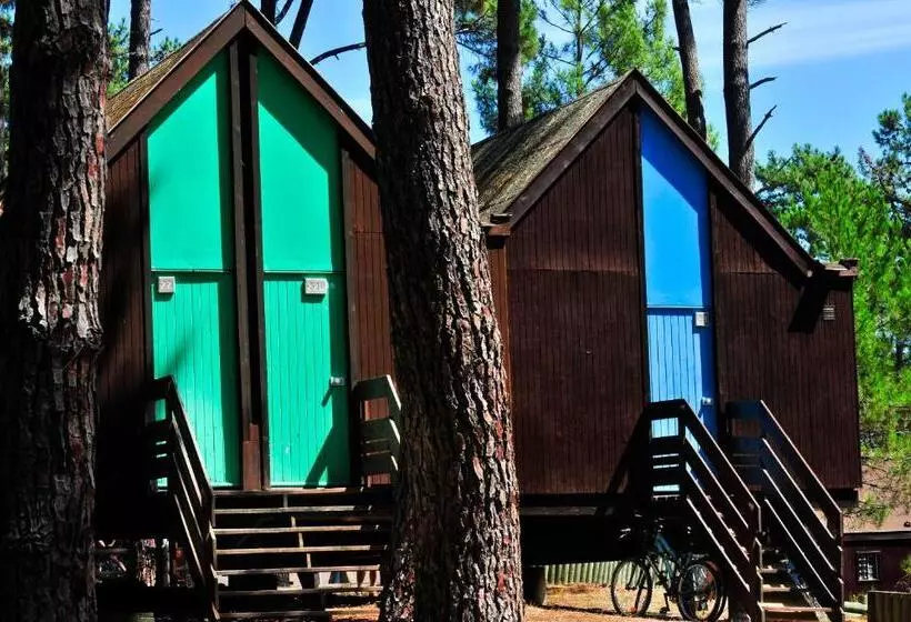 Lomakeskus Vtf Les Bruyères