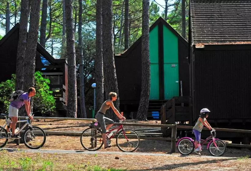Lomakeskus Vtf Les Bruyères