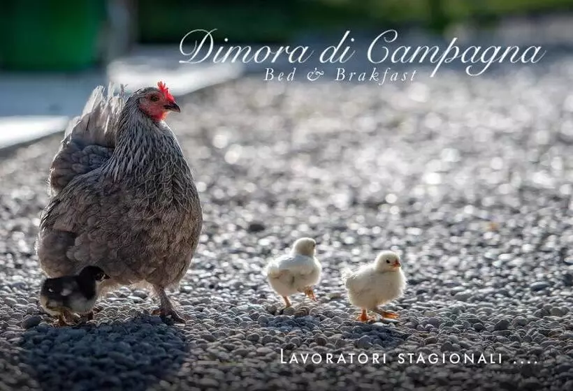 ベッドアンドブレックファースト Dimora Di Campagna