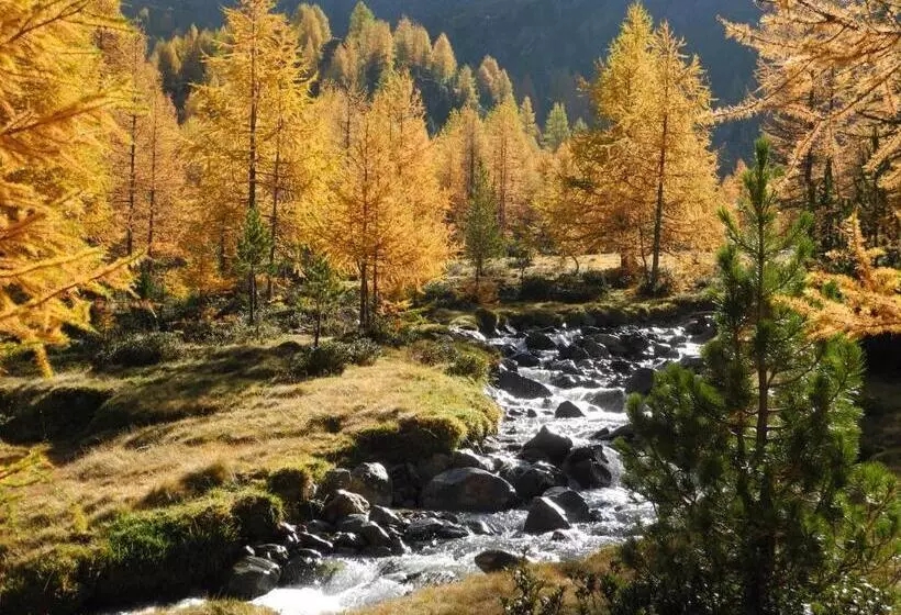 ホテル Pension Florian