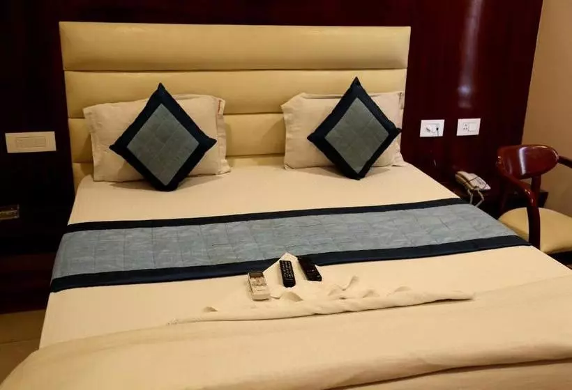 Hotelli Plaza Saphire At New Delhi Railway Station