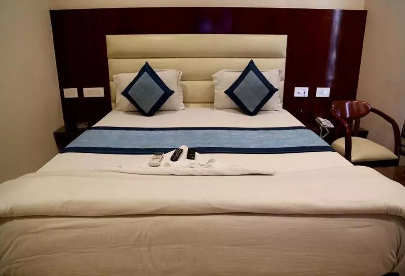 Hotelli Plaza Saphire At New Delhi Railway Station