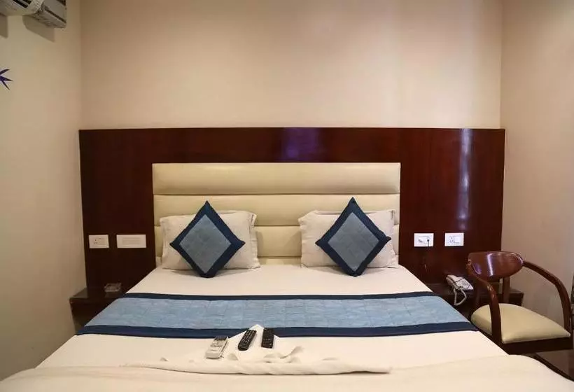 Hotelli Plaza Saphire At New Delhi Railway Station