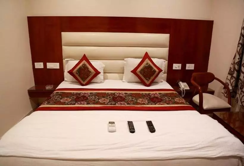 Hotelli Plaza Saphire At New Delhi Railway Station