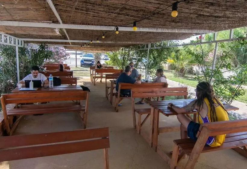 ホテル Urla Surf House