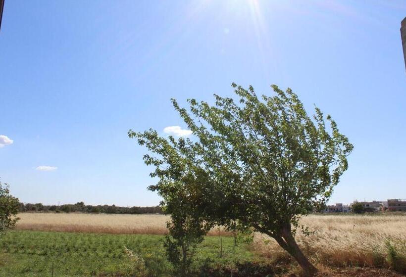 住宿加早餐  Il Giardino Di Alba