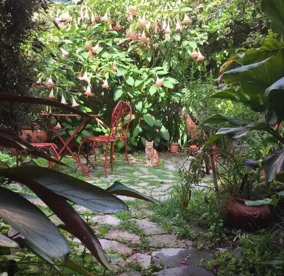 ベッドアンドブレックファースト Il Giardino Segreto