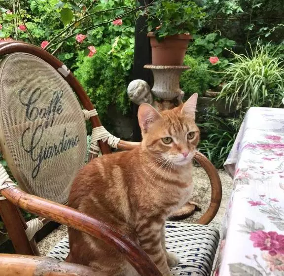 ベッドアンドブレックファースト Il Giardino Segreto