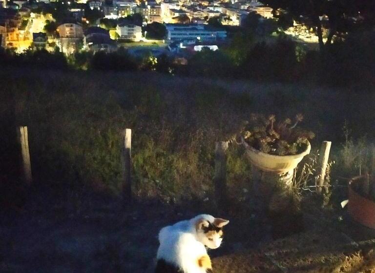 Nocleg ze śniadaniem Terrazza Sul Mare