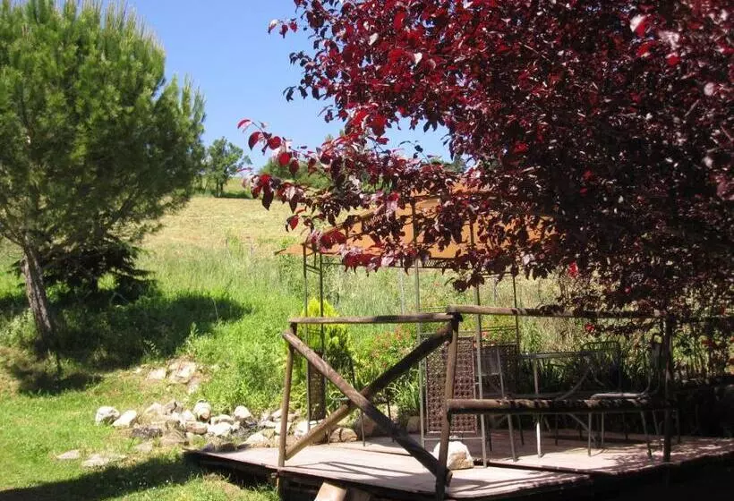 La Pietra Rara B&b