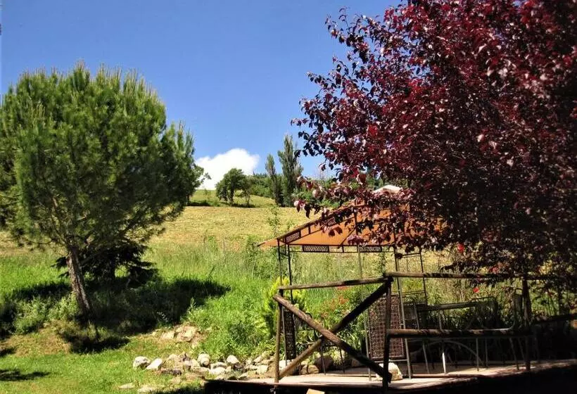La Pietra Rara B&b