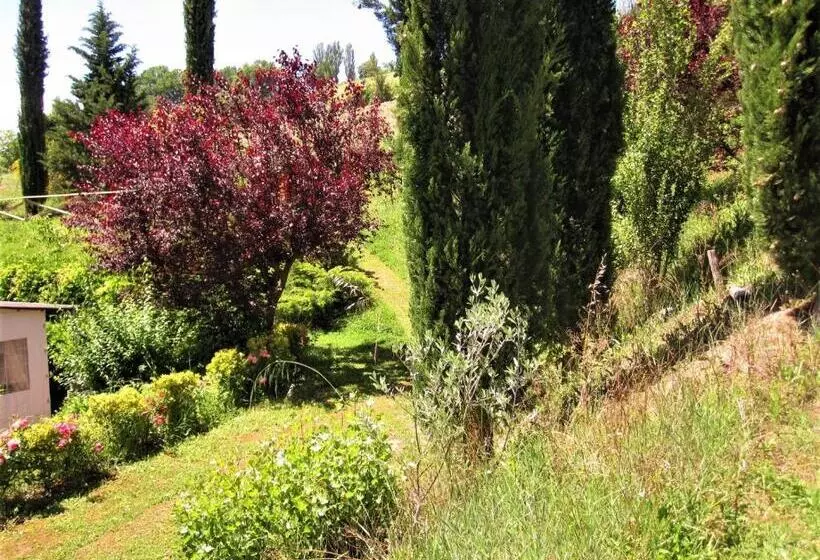 La Pietra Rara B&b