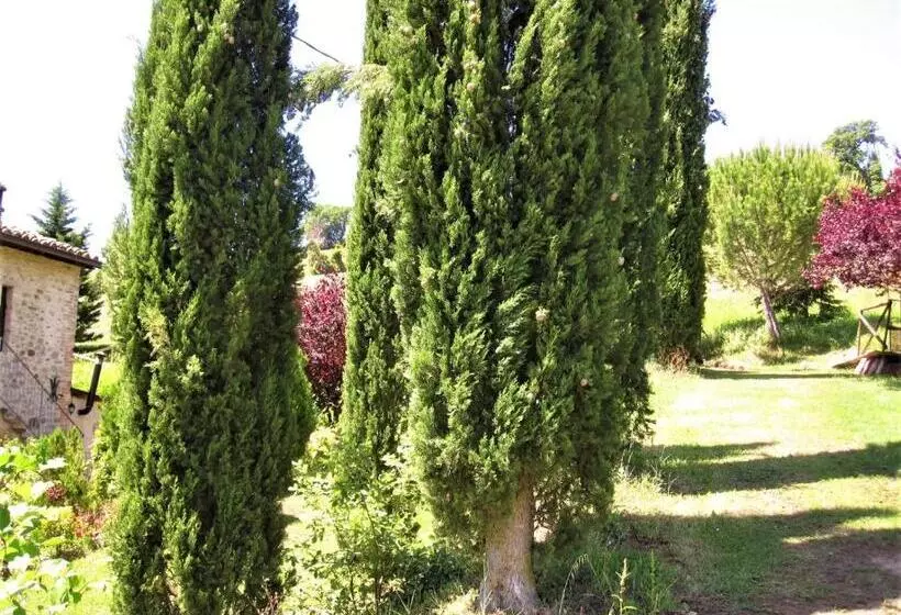 La Pietra Rara B&b