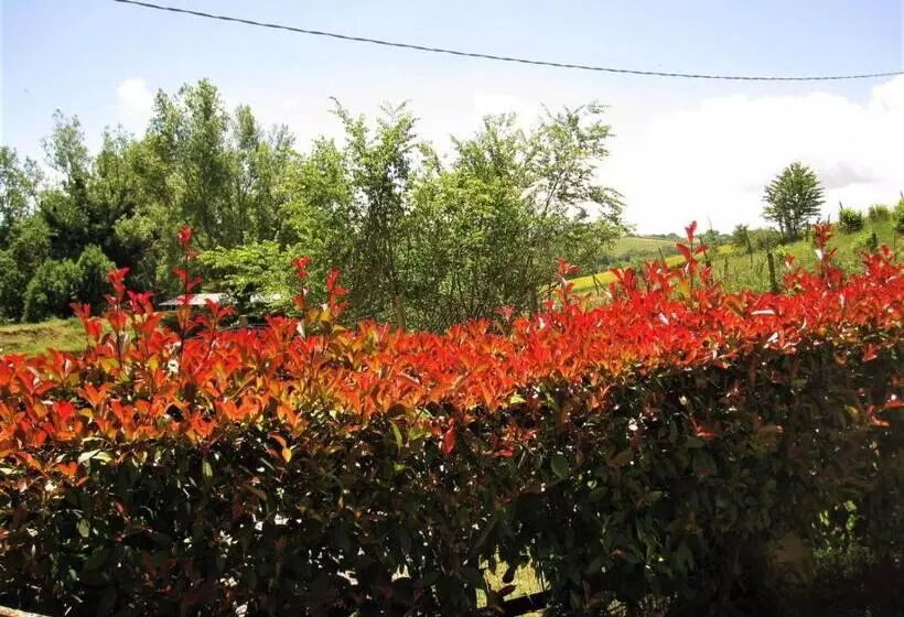 La Pietra Rara B&b