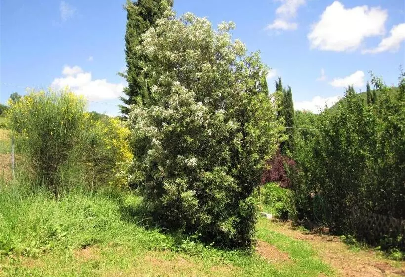 La Pietra Rara B&b