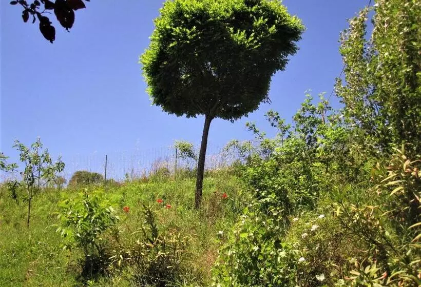 La Pietra Rara B&b
