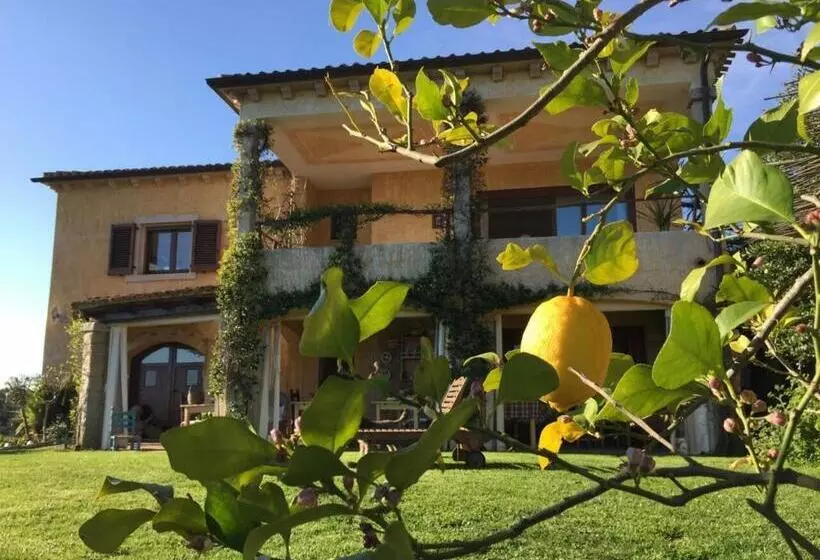 B&b La Murichessa