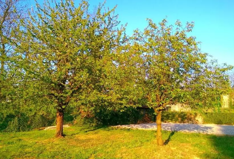 B&b Vinago Belvedere