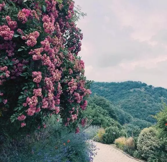 ベッドアンドブレックファースト Agriturismo Gocce Di Luna